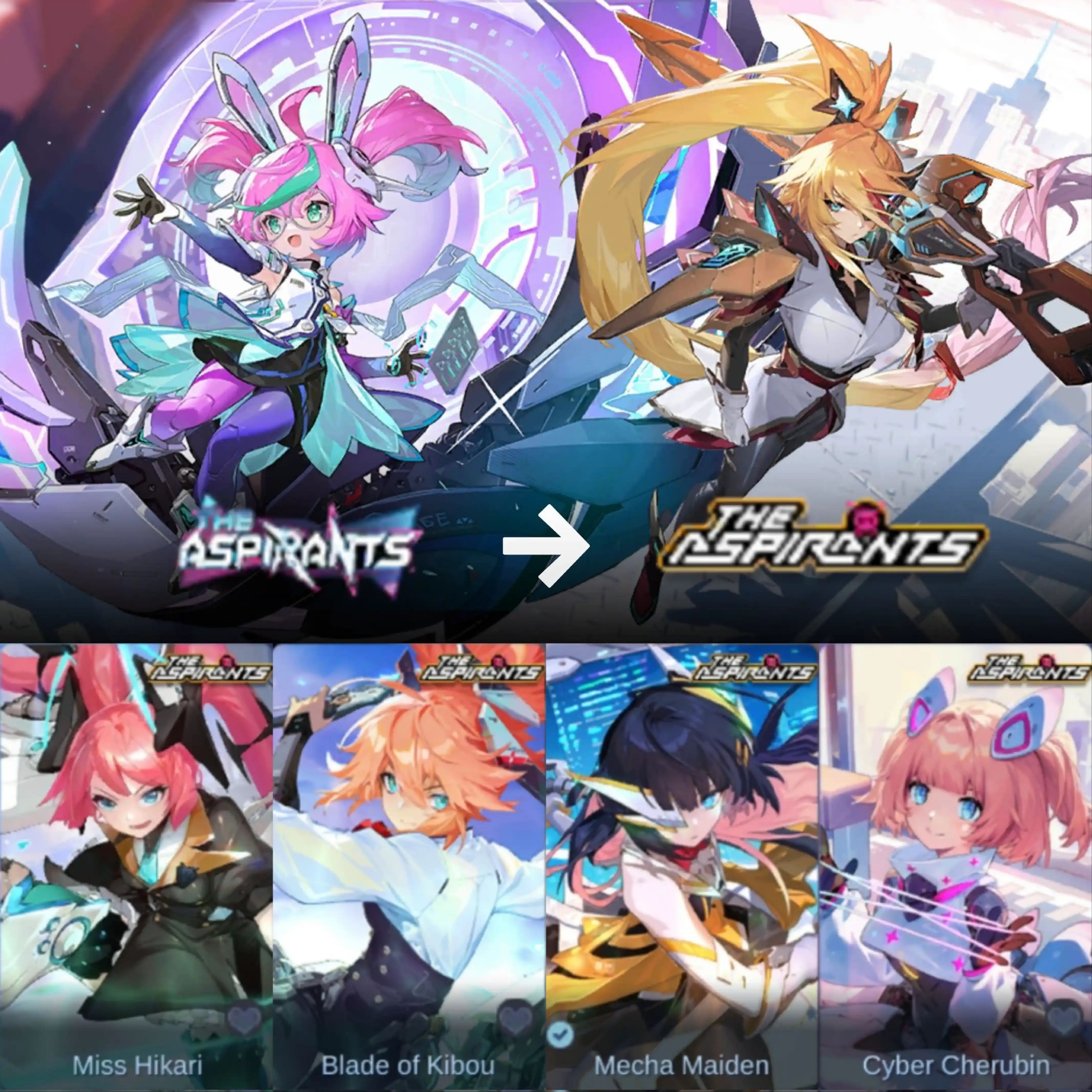 اسکین های آسپیرانتس